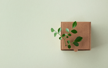 eco friendly box trend